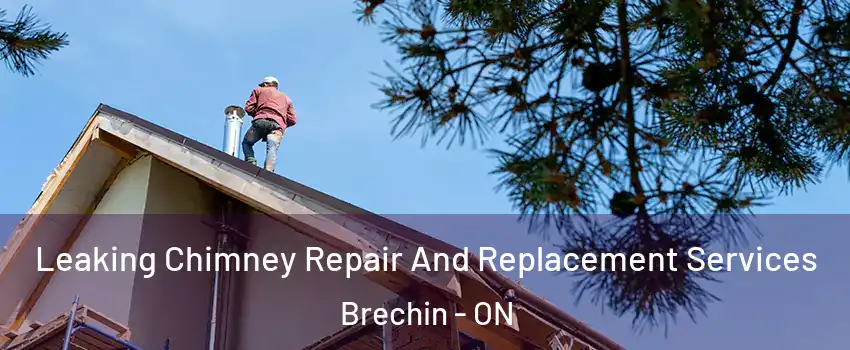  Leaking Chimney Repair And Replacement Services Brechin - ON