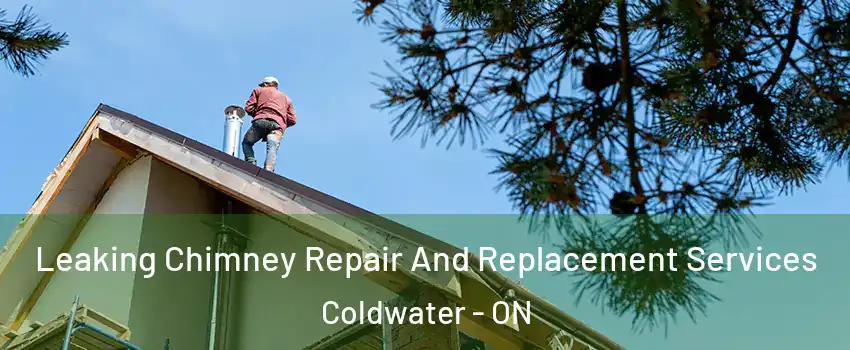  Leaking Chimney Repair And Replacement Services Coldwater - ON