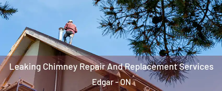  Leaking Chimney Repair And Replacement Services Edgar - ON