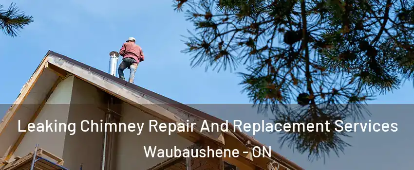  Leaking Chimney Repair And Replacement Services Waubaushene - ON