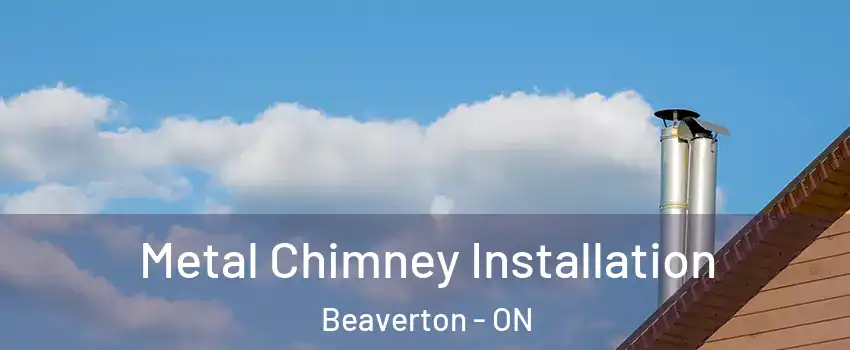  Metal Chimney Installation Beaverton - ON