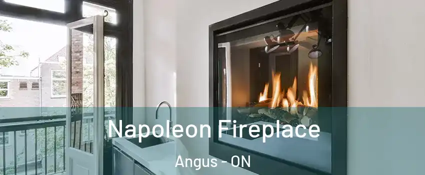  Napoleon Fireplace Angus - ON
