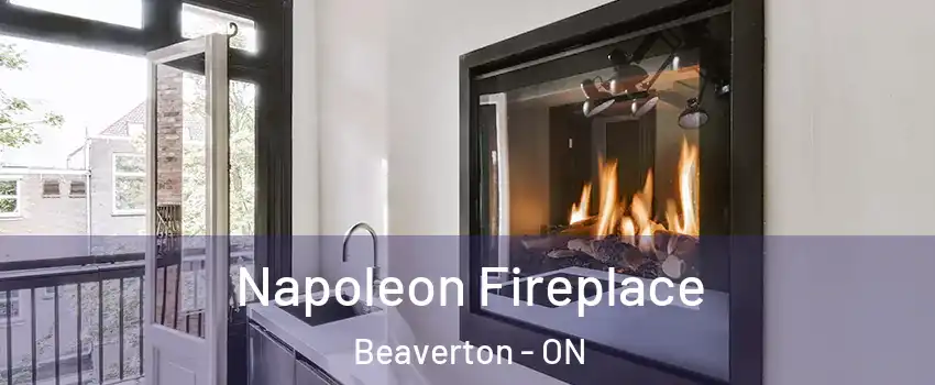  Napoleon Fireplace Beaverton - ON