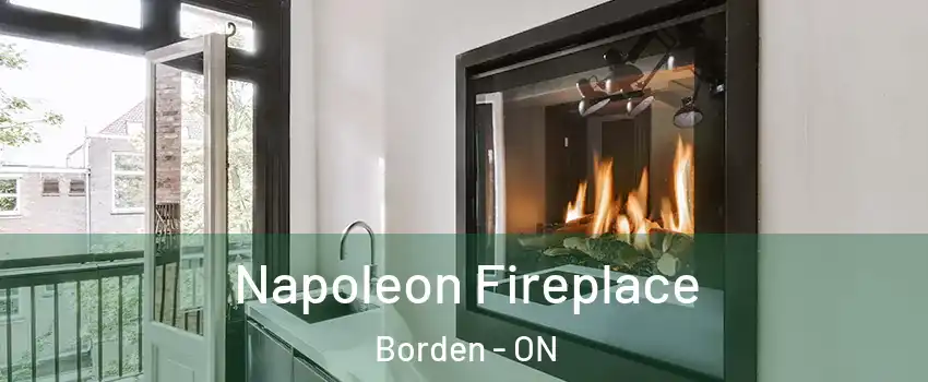  Napoleon Fireplace Borden - ON