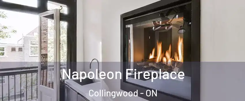  Napoleon Fireplace Collingwood - ON