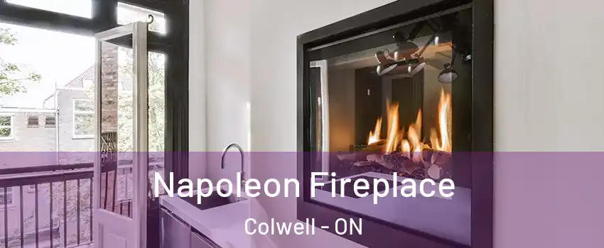  Napoleon Fireplace Colwell - ON