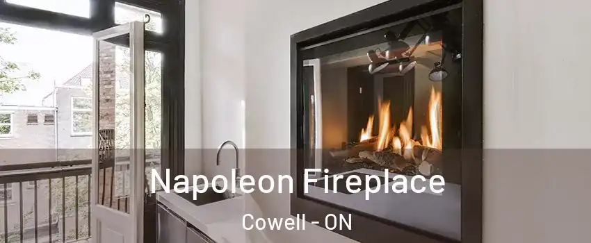  Napoleon Fireplace Cowell - ON