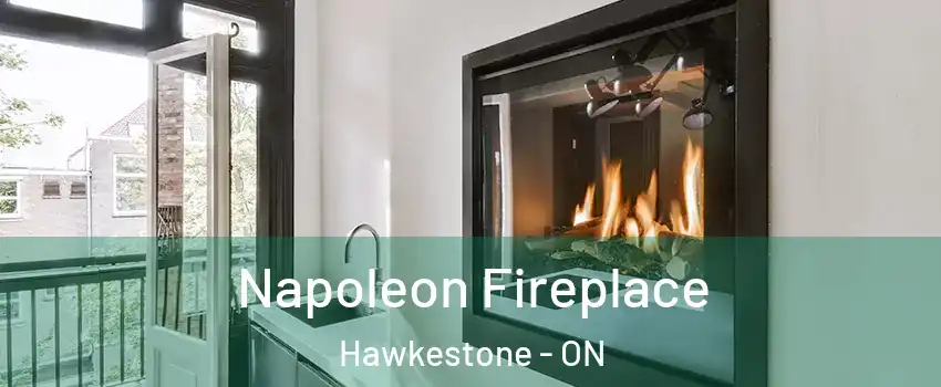 Napoleon Fireplace Hawkestone - ON