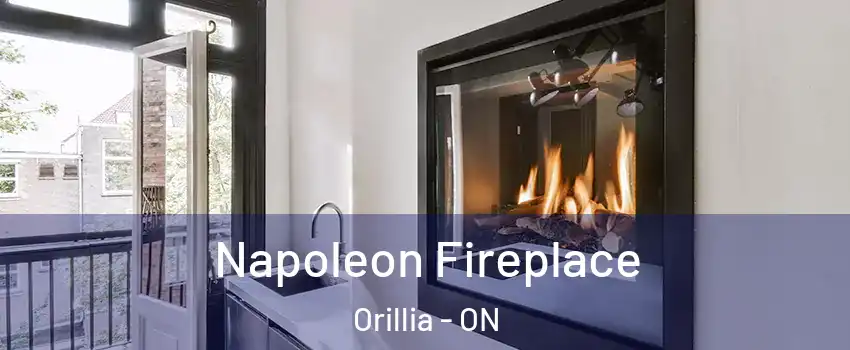  Napoleon Fireplace Orillia - ON