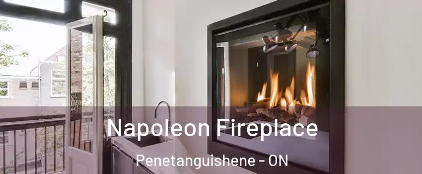 Napoleon Fireplace Penetanguishene - ON