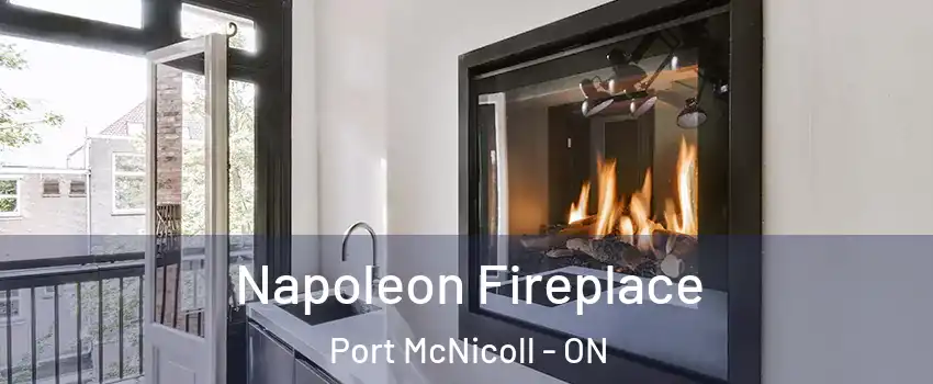  Napoleon Fireplace Port McNicoll - ON