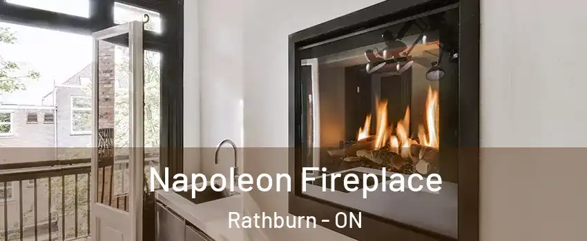  Napoleon Fireplace Rathburn - ON