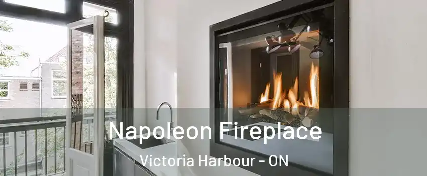 Napoleon Fireplace Victoria Harbour - ON