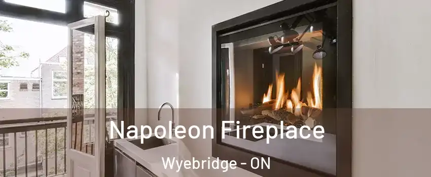  Napoleon Fireplace Wyebridge - ON