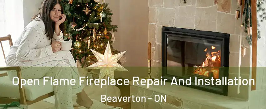  Open Flame Fireplace Repair And Installation Beaverton - ON