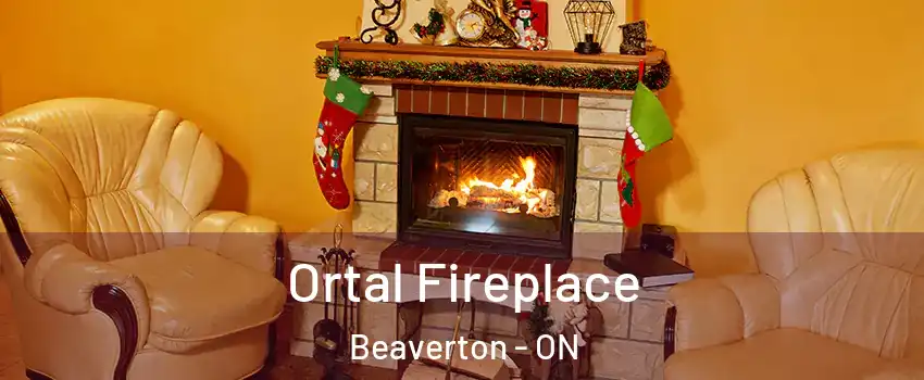  Ortal Fireplace Beaverton - ON