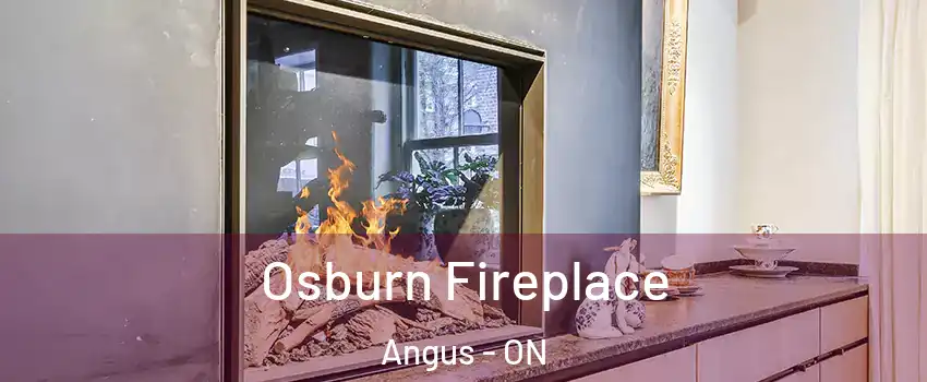 Osburn Fireplace Angus - ON