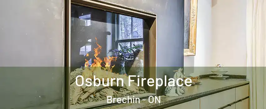  Osburn Fireplace Brechin - ON