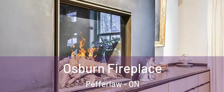  Osburn Fireplace Pefferlaw - ON