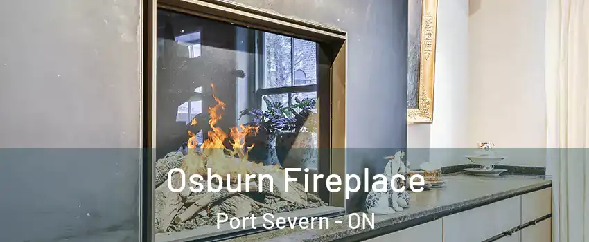  Osburn Fireplace Port Severn - ON