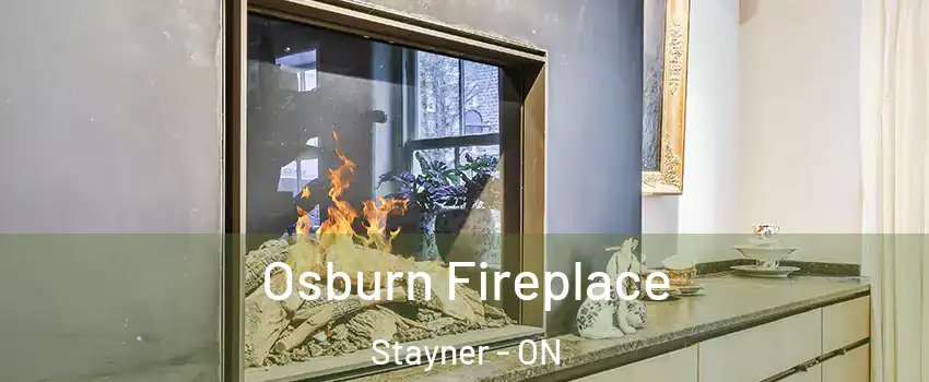  Osburn Fireplace Stayner - ON