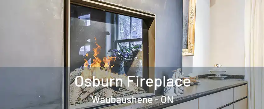  Osburn Fireplace Waubaushene - ON