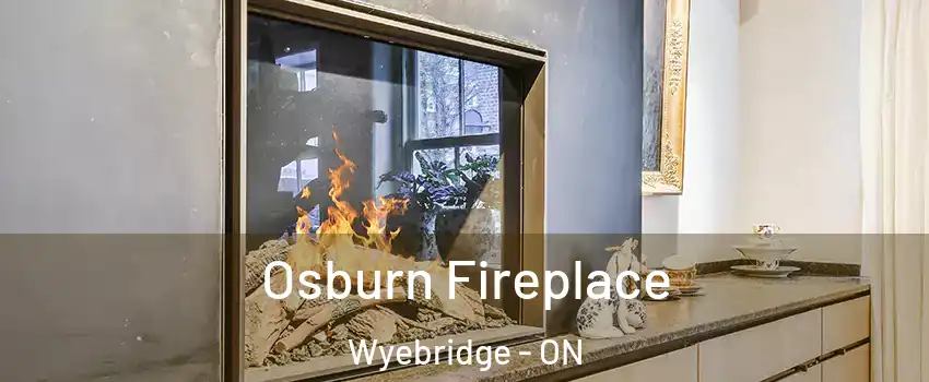  Osburn Fireplace Wyebridge - ON