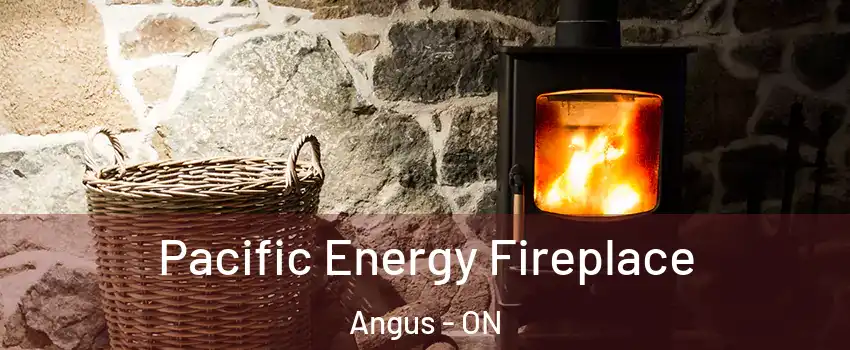  Pacific Energy Fireplace Angus - ON
