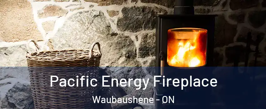  Pacific Energy Fireplace Waubaushene - ON