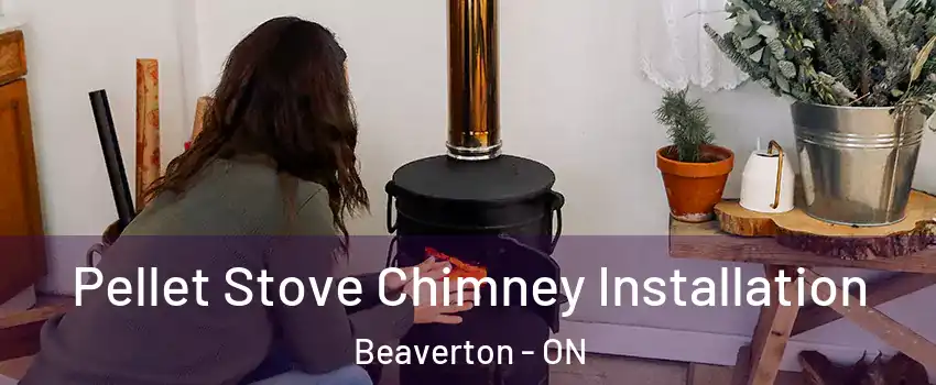  Pellet Stove Chimney Installation Beaverton - ON