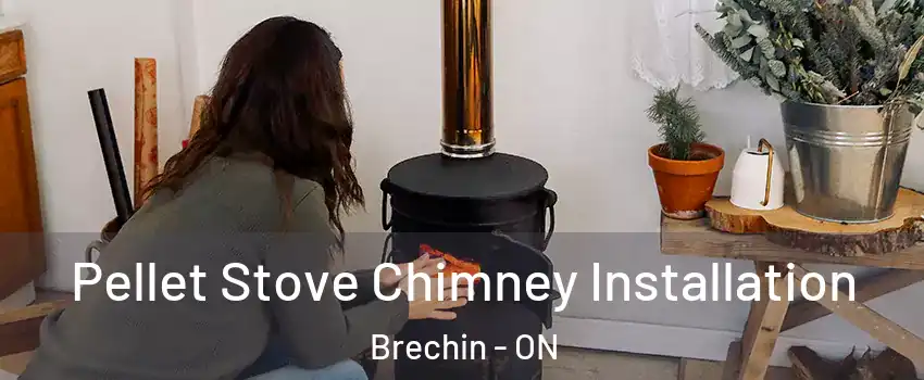  Pellet Stove Chimney Installation Brechin - ON