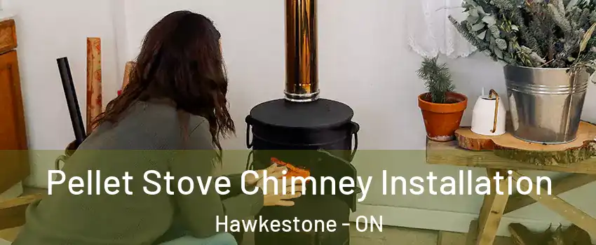  Pellet Stove Chimney Installation Hawkestone - ON