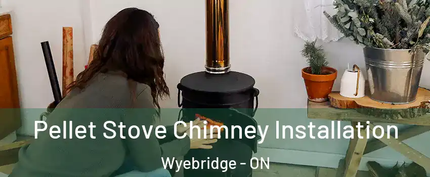 Pellet Stove Chimney Installation Wyebridge - ON