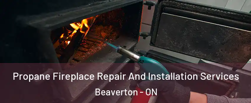 Propane Fireplace Repair And Installation Services Beaverton - ON