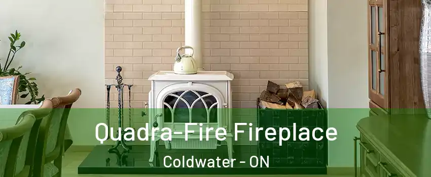  Quadra-Fire Fireplace Coldwater - ON