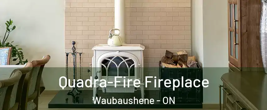  Quadra-Fire Fireplace Waubaushene - ON