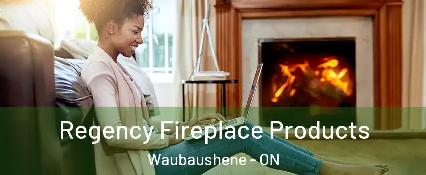  Regency Fireplace Products Waubaushene - ON