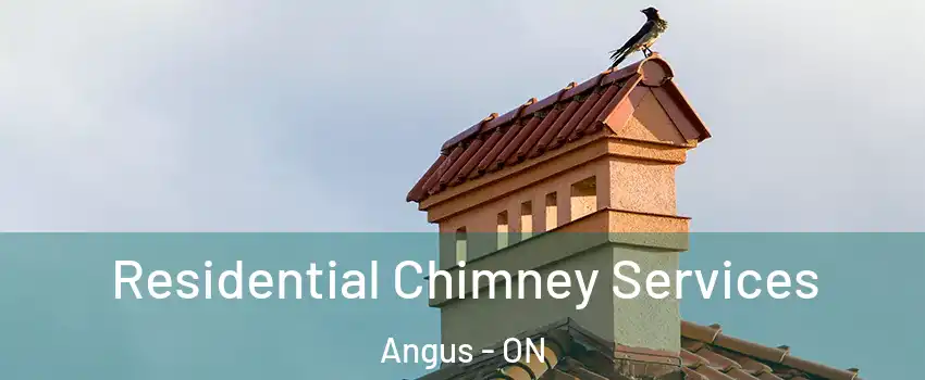  Residential Chimney Services Angus - ON