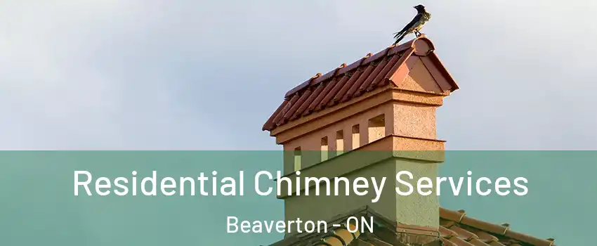  Residential Chimney Services Beaverton - ON