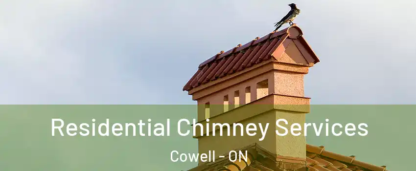  Residential Chimney Services Cowell - ON