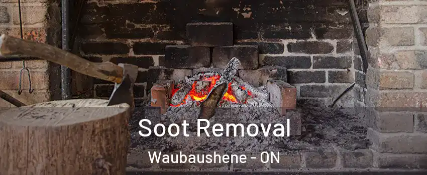  Soot Removal Waubaushene - ON