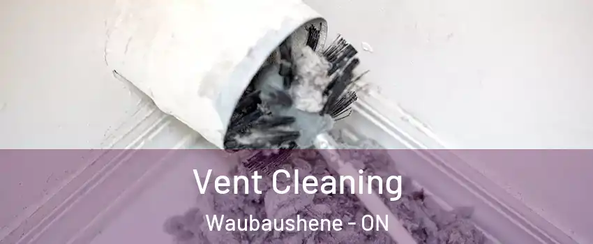  Vent Cleaning Waubaushene - ON
