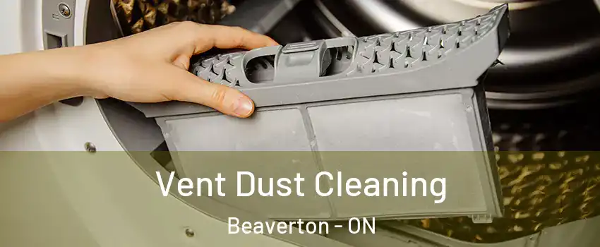 Vent Dust Cleaning Beaverton - ON