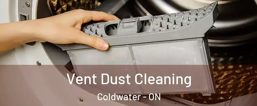 Vent Dust Cleaning Coldwater - ON