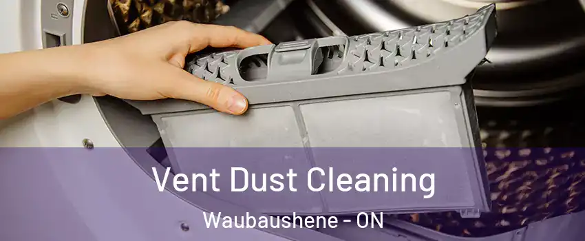  Vent Dust Cleaning Waubaushene - ON