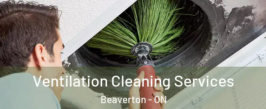  Ventilation Cleaning Services Beaverton - ON
