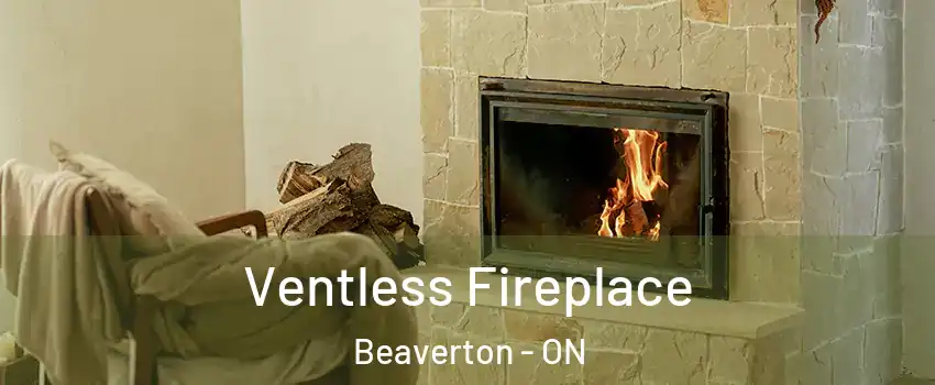  Ventless Fireplace Beaverton - ON
