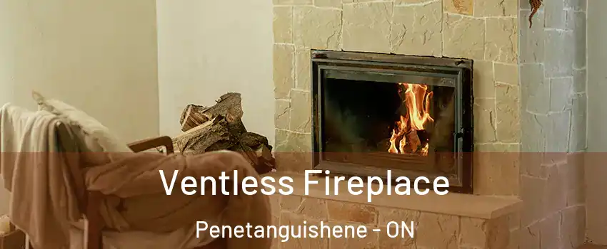  Ventless Fireplace Penetanguishene - ON