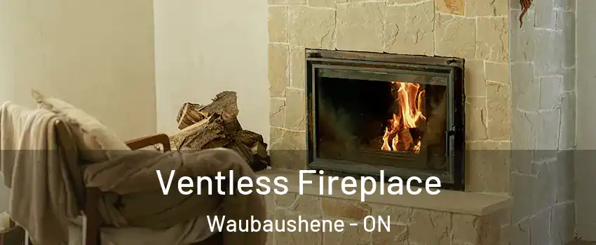  Ventless Fireplace Waubaushene - ON