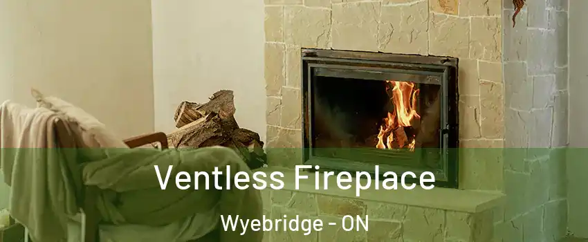  Ventless Fireplace Wyebridge - ON
